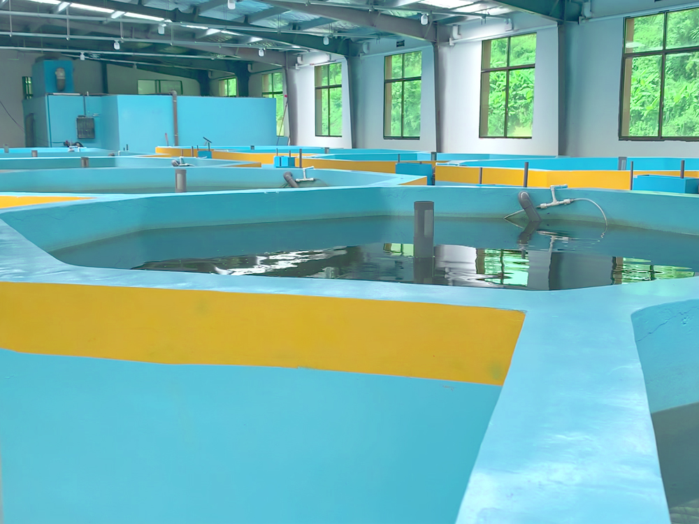 贵州三穗- 淡水鱼类 - 淡水