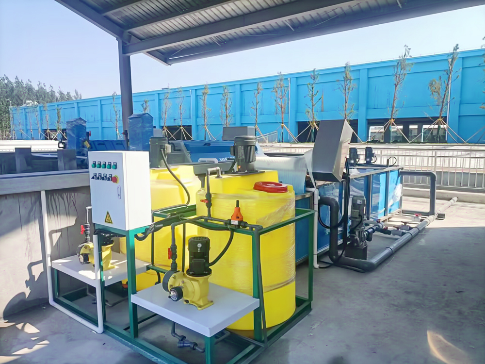 山东微山 - 加州鲈鱼 - 淡水