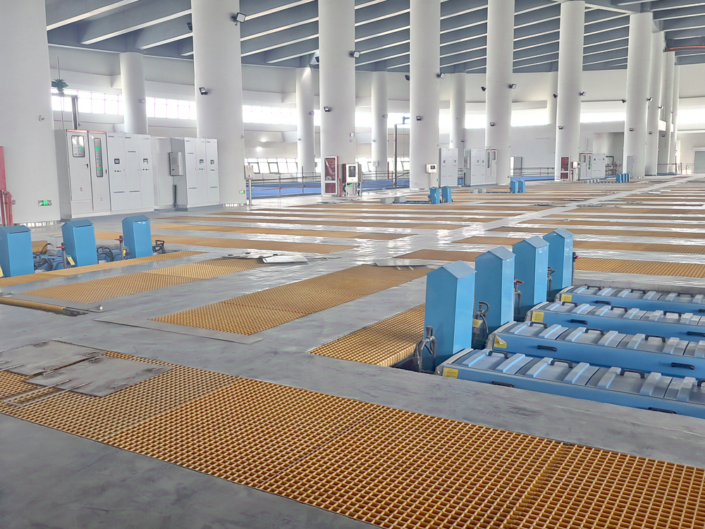 长江口中华鲟自然保护区基地- 中华鲟 - 淡水