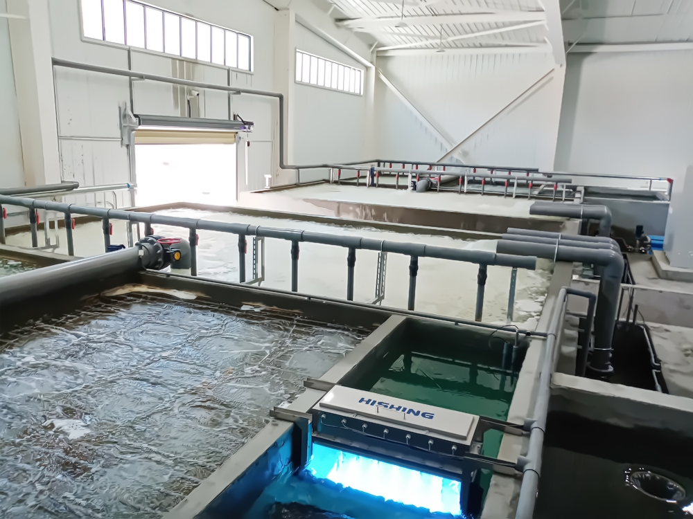 西藏亚东 - 亚东鲑鱼-淡水