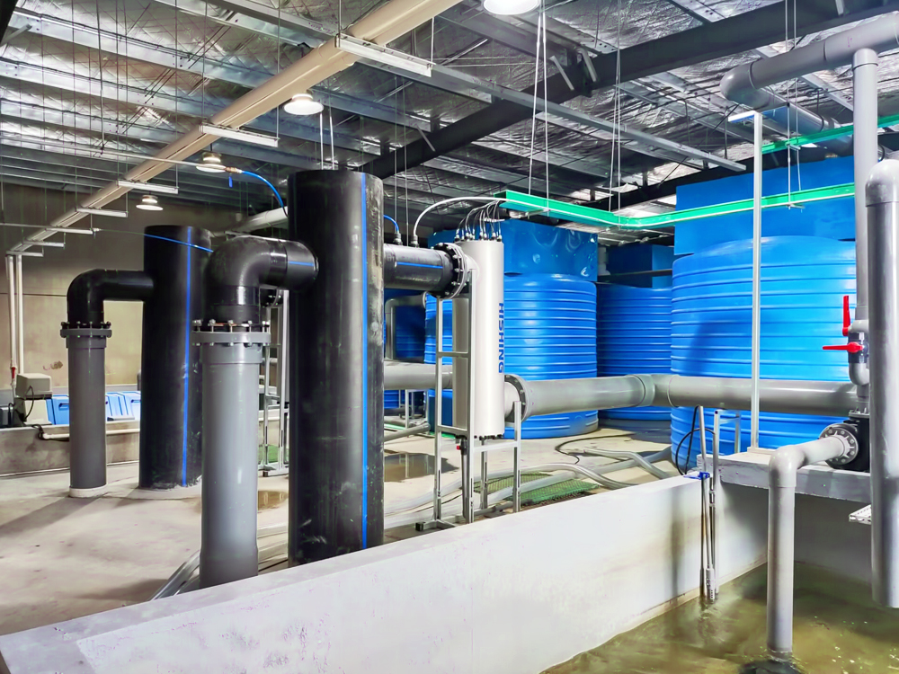 浙江南浔- 加州鲈鱼 - 淡水