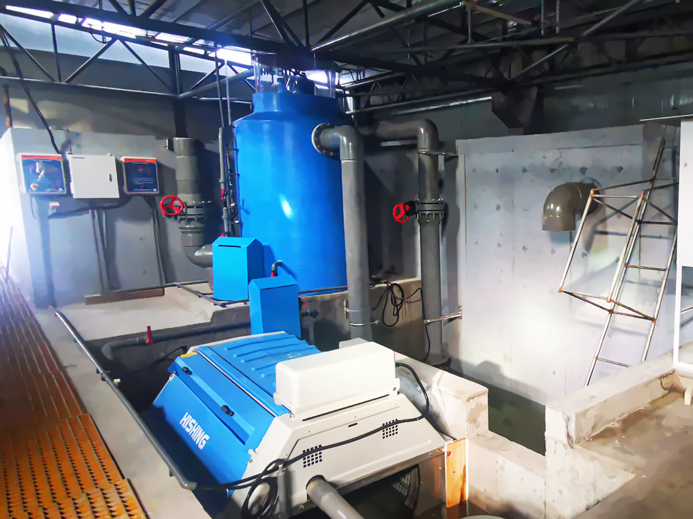 浙江舟山 - 南美白对虾 - 海水