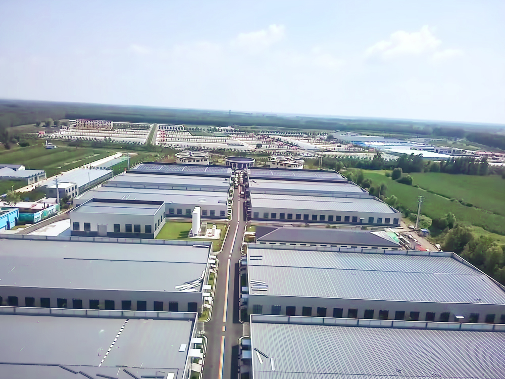 山东微山 - 加州鲈鱼 - 淡水